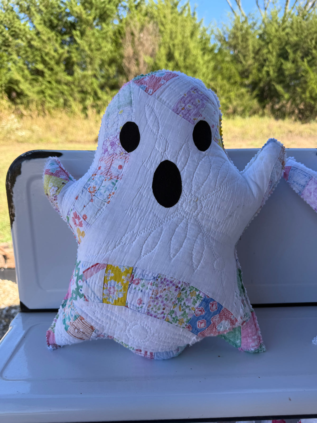 Large Ghost